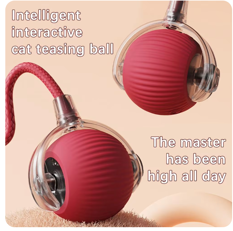 Interactive Rolling Ball Toy for Pets