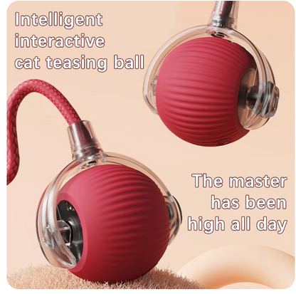 Interactive Rolling Ball Toy for Pets