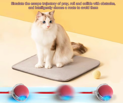 Interactive Rolling Ball Toy for Pets