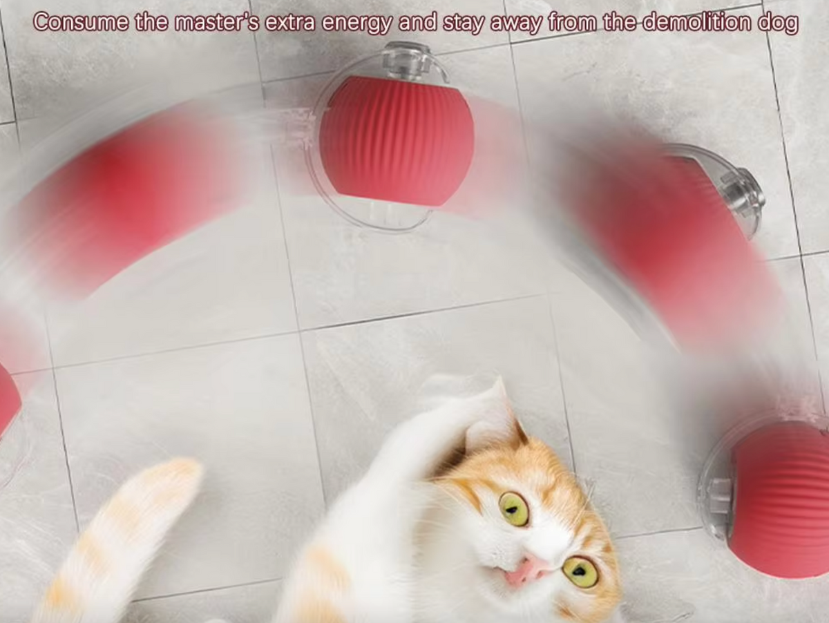Interactive Rolling Ball Toy for Pets