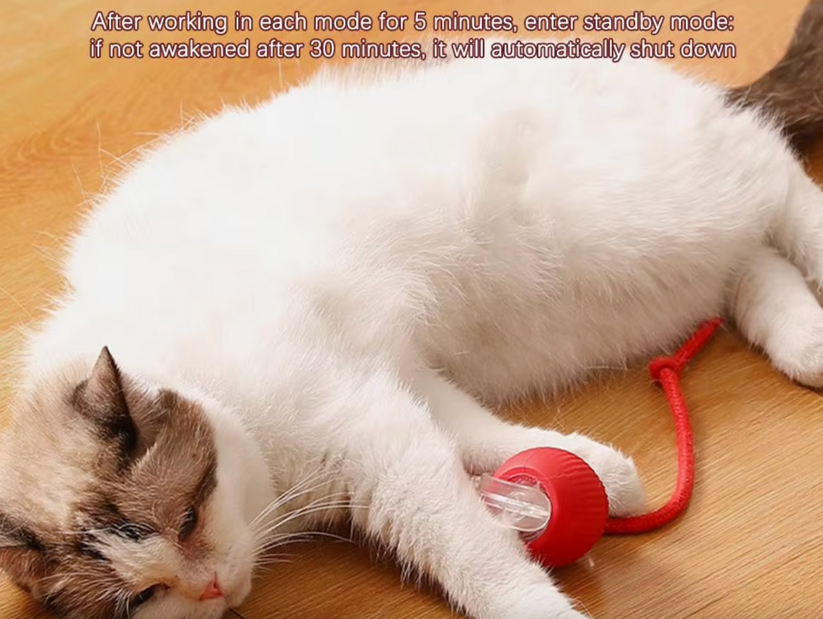 Interactive Rolling Ball Toy for Pets