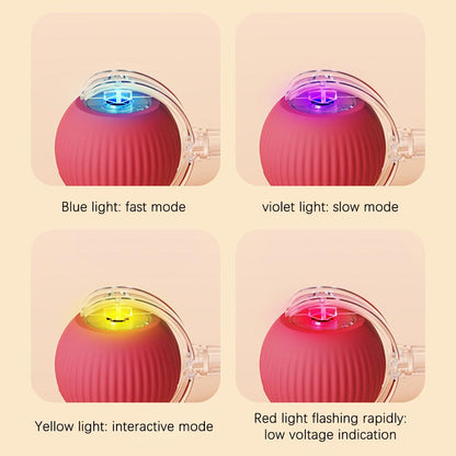 Interactive Rolling Ball Toy for Pets