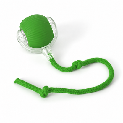 Interactive Rolling Ball Toy for Pets