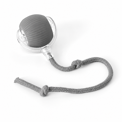 Interactive Rolling Ball Toy for Pets