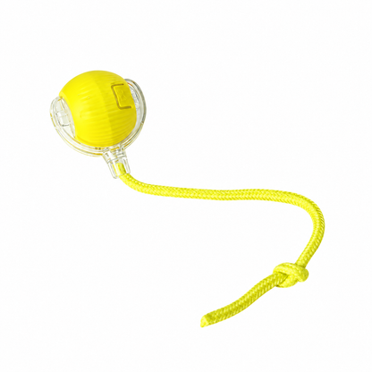 Interactive Rolling Ball Toy for Pets