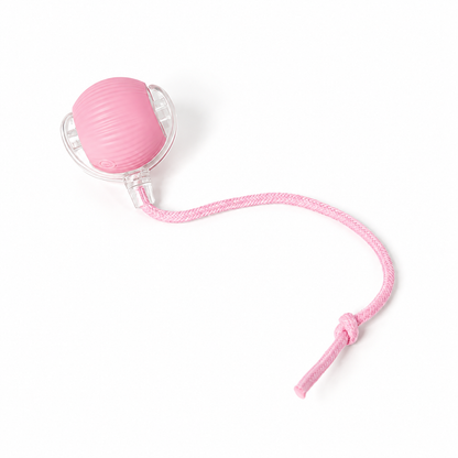 Interactive Rolling Ball Toy for Pets