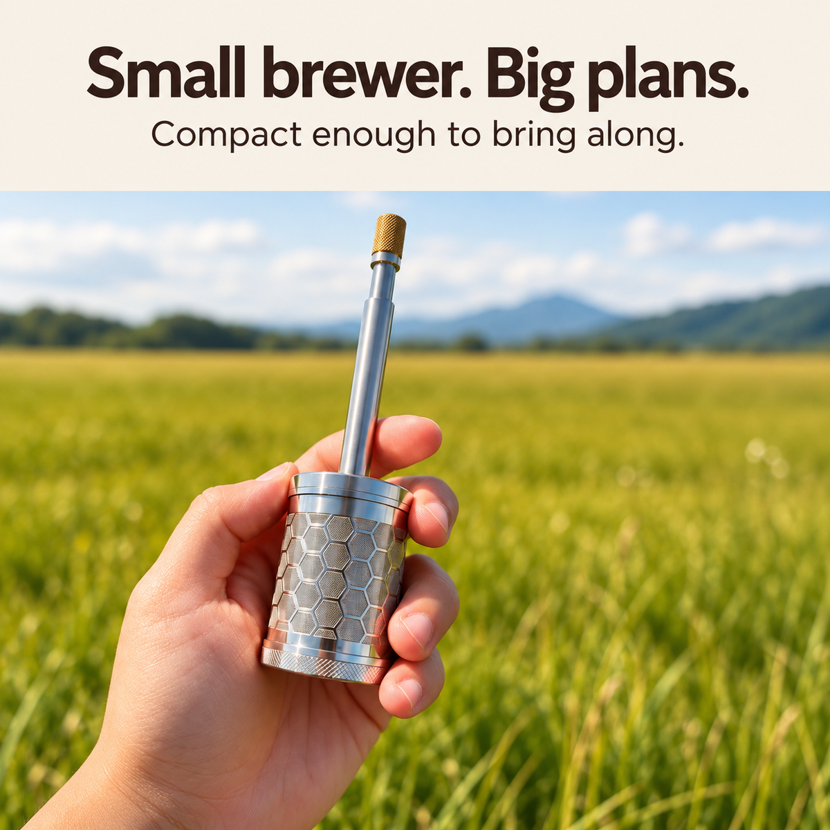 Portable Stainless Steel Manual Coffee and Tea Infuser Brewer