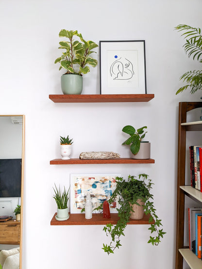 Thin Mahogany Floating Shelf in 6" to 36" lengths