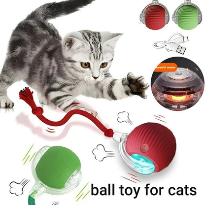 Automatic Interactive Cat Ball Toy – Rechargeable Smart Play